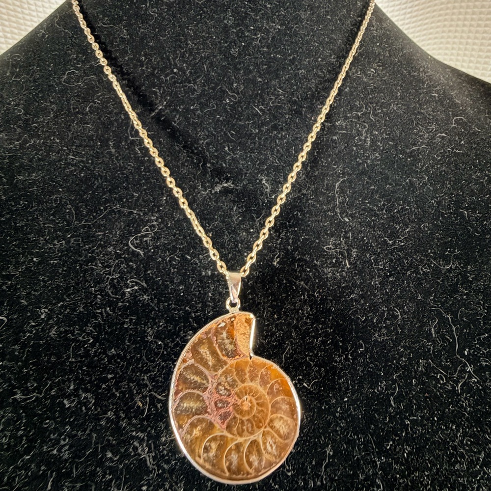 SilverAmmonite Fossil Pendant Necklace